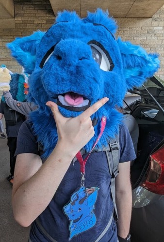 A picture of me in my fursuit (head only), holding my hand in front of my snout like the "thinking" emote. I look really derg.

I also have a lanyard (from Telekom) with 2 badges on it. One of them says "STEFFO".