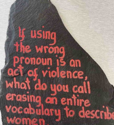 if_using_the_wrong_pronoun_is_an_act_of_violence_what_do_you_call_erasing_an_entire_vocabulary_to_describe_women.jpg