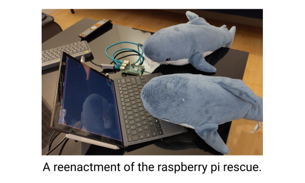 Two plush sharks staring intently at a surface pro. The surface pro has an ethernet dongle connected directly into a raspberry pi.

Image caption: A reenactment of the raspberry pi rescue.