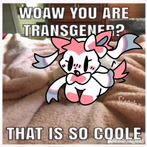 A drawing of a cute sylveon lying on a bed 

Text: Woaw you are transgener? That is so coole 