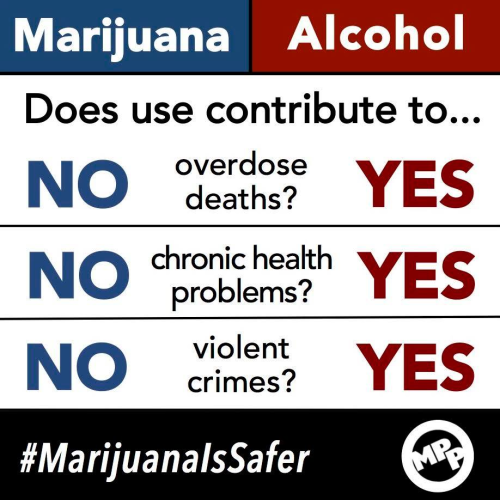Marijuana vs. Alcohol
Does use contribute to...

Overdose deaths? Marijuana NO, Alcohol YES

Chronic health problems? Marijuana NO, Alcohol YES

Violent crimes? Marijuana NO, Alcohol YES

#MarijuanaIsSafer
