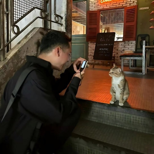 Man takes a photo of a cat on camera while it's sitting on a stairs