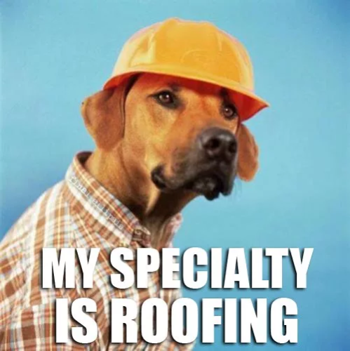 A dog in a plaid shirt and a yellow hard hat.

"My specialty is roofing"