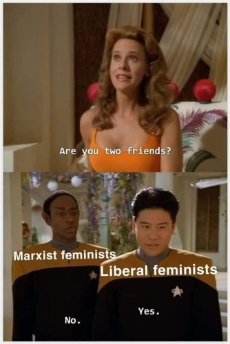 Voyager scene. A woman asks, "Are you two friends?"
Tuvok (labeled Marxist feminists): No.
Harry Kim (labeled liberal feminists): Yes. 