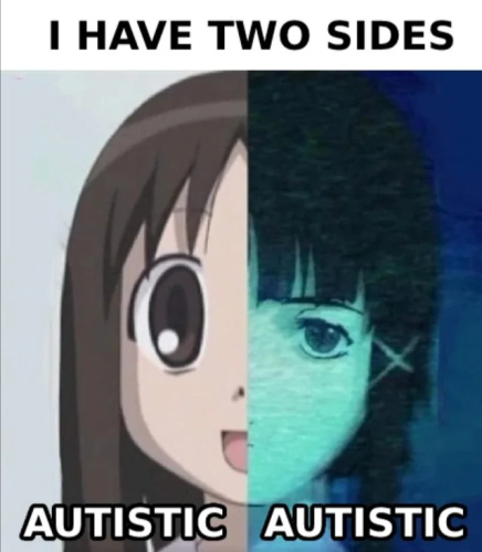 Image macro meme.
"I have two sides."
Left: Autistic (Ayumu "Osaka" Kasuga from Azumanga Daiou)
Right: Autistic (Lain from Serial Experiments Lain).