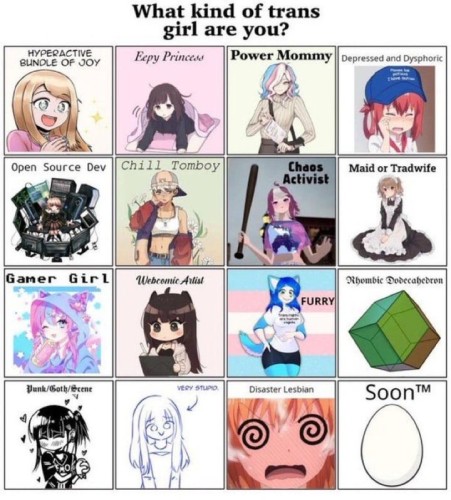 an array of transfem stereotypes labeled "what kind of trans girl are you?"

row 1 = hyperactive bundle of joy, eepy princess, power mommy, depressed and dysphoric

row 2 = open source dev, chill tomboy, chaos activist, maid or tradwife

row 3 = gamer girl, webcomic artist, furry, rhombic dodecahedron

row 4 = punk/goth/scene, very stupid, disaster lesbian, soonTM (egg)