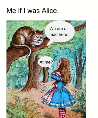 Doctored image from Lewis Carol’s Alice in Wonderland, where Alice meets the Cheshire Cat. The cat says to Alice “We are all mad here” to which Alice replies “At me?” Above the image is the text: Me if I was Alice.

Detailed description of scene below.

Alice (a young girl with an inquisitive expression and dressed in a blue dress and white apron) engages in a conversation with the enigmatic Cheshire Cat. The Cheshire Cat, a talking feline with a mischievous grin and a penchant for disappearing at will, perches on a tree branch above Alice, surrounded by the vibrant foliage of a woodland scene.