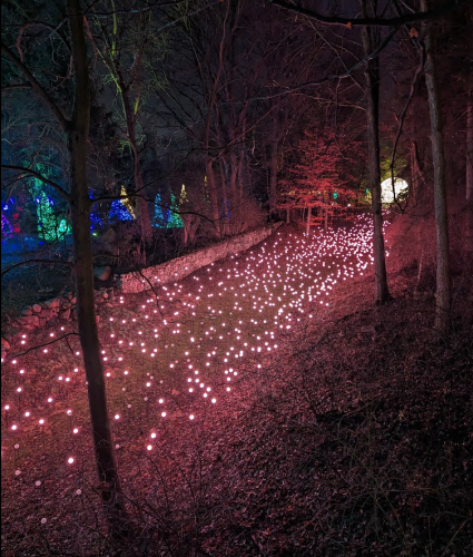 A river of lights leading toward a glowing orb in the woods.