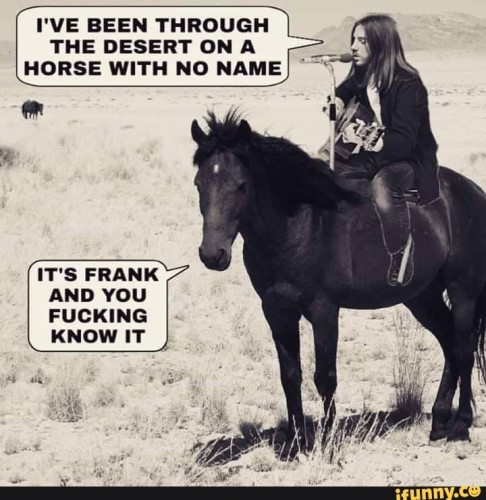 Neil Diamond sitting on a horse, holding a guitar and singing into a microphone (which mysteriously sprouts from the horse's back), "I've been through the desert on a horse with no name..." 

The horse says, "It's Frank and you fucking know it" 