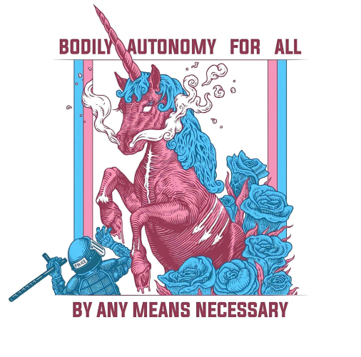 Line illustration: a pink unicorn with blue mane & white antifa arrows across its flank rears up, about to trample a cop. Giant blue roses decorate the frame.
"BODILY AUTONOMY FOR ALL
BY ANY MEANS NECESSARY"