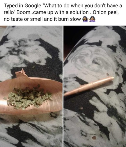 typed in google "what to do when you don't have a rello"

boom... came up with a solution. onion peel, no taste or smell and it burns slow

and it's an onion peel being used to roll a joint 