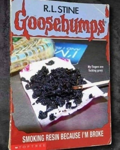 rl stine goosebumps

smoking resin because i'm broke

and it's one of those books made to look like that