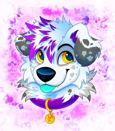 Karb as an Aussie Shep. incredibly adorable