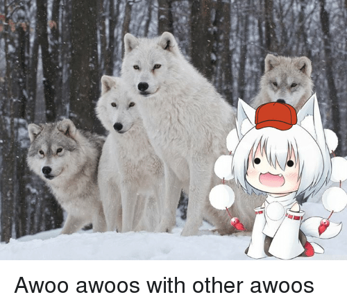 AwooFamily.png