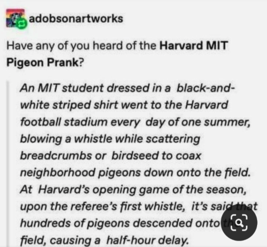 adobsonartworks posts:

Have any of you heard of the Harvard MIT Pigeon Prank? 

An MIT student dressed in a black-and- white striped shirt went to the Harvard football stadium every day of one summer, blowing a whistle while scattering breadcrumbs or birdseed to coax neighborhood pigeons down onto the field. At Harvard’s opening game of the season, upon the referee’s first whistle, it’s said hundreds of pigeons descended onto the field, causing a half-hour delay. 