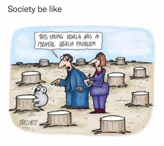 "Society be like"
[Cartoon showing a field full of tree stumps. A koala is clinging to one of the stumps, stressed out and trembling. Two people in suits are observing the koala, one taking notes while the other says, "This young koala has a mental health problem"]

Credit (my best guess based on the barely legible artist signature): TAIKCINCT