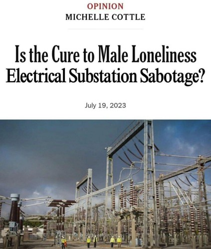 Is the Cure to Male Loneliness Electrical Substation Sabotage?