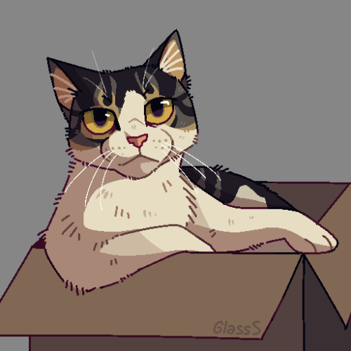 Slightly pixelated drawing of a white cat with markings in various shades of grey, sitting in a cardboard box, one arm partially outside, supporting her weight, the other one resting on the edge of the box