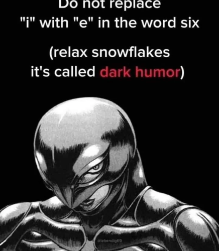Do not replace "i" with "e" in the word six

(relax snowflakes it's called DARK HUMOR)

[image of some berserk character idk]