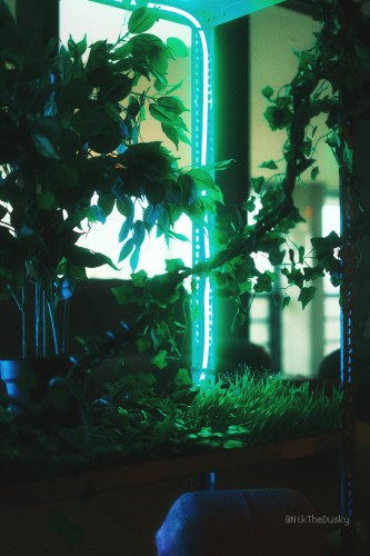 A green light strip is lighting up some plants in a metal rack.