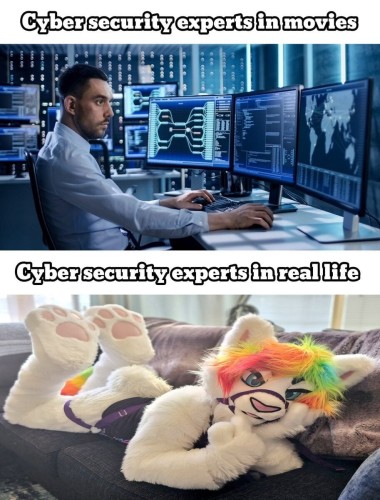 cybersecurity experts in movies: 

*dude in a suit in front of a buncha monitors in a really clean setting*

cybersecurity experts in real life:

*it's just someone in a fursuit*