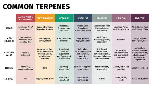 terpenes-chart.png