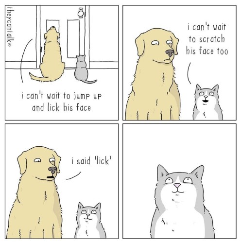 A good doggo and a cool cat having a conversation, waiting for their adopted human. Doggo says: I can't wait to jump up and lick his face. Cool cat says I can't wait to scratch his face too. Dog says: I said "lick". Cool cat makes a poker face. 

A cartoon by they can't talk folks